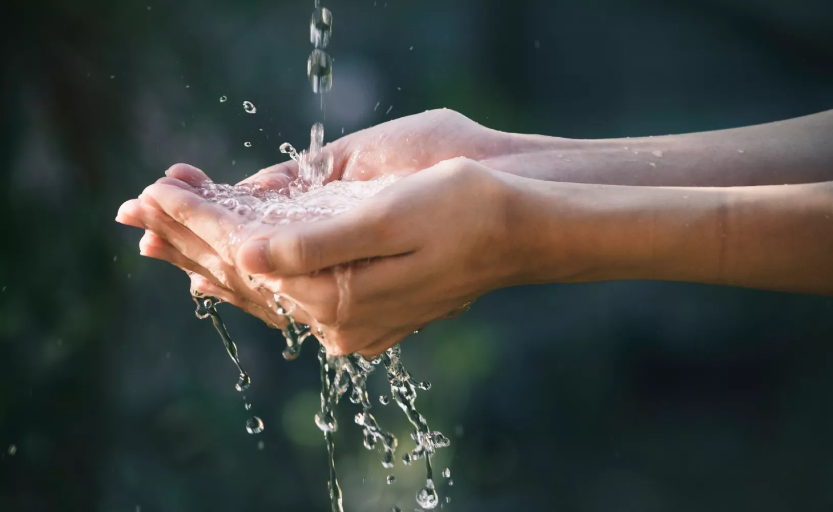 Pourquoi un bilan carbone ? 1